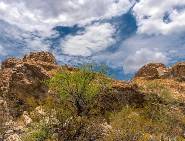 About-Cave-Creek