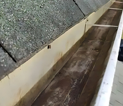 Why Choose Our Scottsdale Gutter Cleaning Services_3