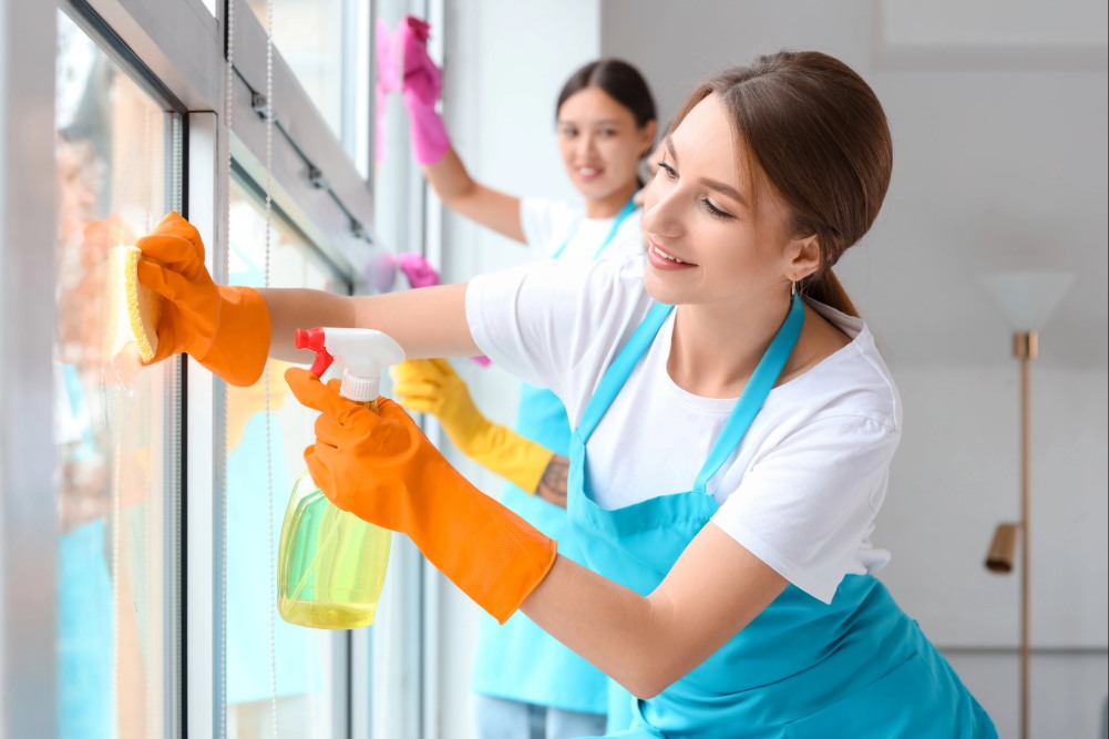 Discovering The Best Window Cleaner For Your Home